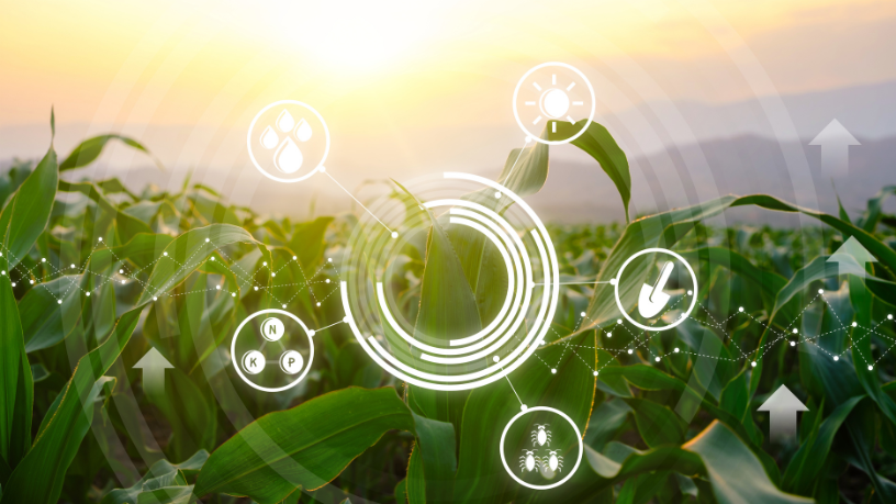 Veja com Hebron Costa Cruz de Oliveira como práticas do campo ajudam a moldar decisões empresariais.