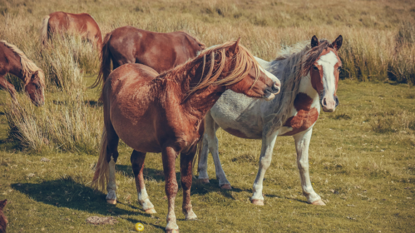 Jovens produtores estão renovando o campo com tecnologia, propósito e respeito às raízes, comenta Aldo Vendramin.