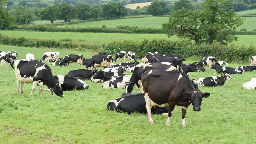 Ao longo de sua trajetória no agronegócio, João Eustáquio De Almeida Junior consolidou valores, inovação e resultados que formam um sólido legado empresarial.