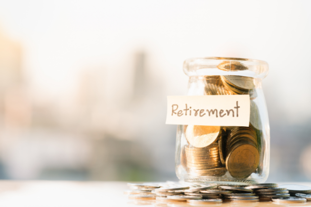 Sindnapi - Sindicato Nacional dos Aposentados, Pensionistas e Idosos